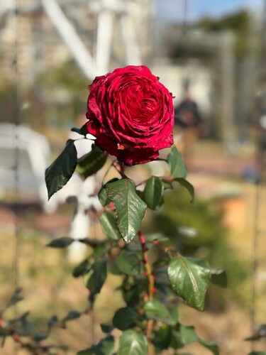 “知っているつもりの知見”は、実は驚くほど外に出ていません。