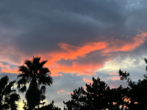 AI活用―「属人化」と「個人の誇り」のはざまで